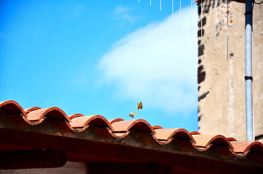 B&B Casacori Orosei Exterior photo